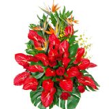 㺺ʻٵ