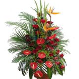 㺺ʻٵ